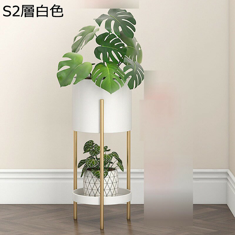 2 ե ץ󥿡å  Ŵ ķ ǥ˥  ê ¿ ȭ֤ ƥꥢ ʪå ݥåȥ...