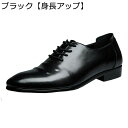 ビジネスシューズ メンズ シークレット靴 革靴 リーガル 内羽根 ソフト 柔らかい 軽量 紳士靴 かっこいい 大きいサイズ カジュアル ポストマンシューズ ワーク くつ ダンス 結婚式 成人式 ウェディング