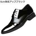 ビジネスシューズ メンズ 背が高くなる靴 本革 防滑 履きやすい 脚長 レースアップ 男性用 大きいサイズ ベーシック カジュアル ポストマンシューズ ワーク くつ 入学式 入社式 葬式 リクルート