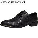 ビジネスシューズ 背が高くなる靴 メンズ レザー レースアップ ラメ ポインテッドトゥ キレイメ 走れる 防滑 リーガル 快適 オックスフォードシューズ 春夏秋 通学 通勤 舞台 クラシック おしゃれ お兄系