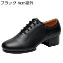 ラテンダンス 社交ダンスシューズ ジャズダンスシューズ メンズ モダン スタンダード 皮靴 キッズ 成人 兼用 フラット スムース 通気 軽い 踊りやすい 滑り...