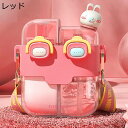 スポーツウォーターボトル 仕切り 水筒 直飲み ストラップ付き 530ml/780ml 給水 女の子 男の子 大人 スケーター 釣り 運動用 ヨガ キャンプ プ...