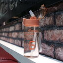 スポーツウォーターボトル プラスチック水筒 目盛り ワンタッチ式 500ml ストロー付き 600ml プラスチックマグカップ キャリーハンドル付き 蓋付き 直...