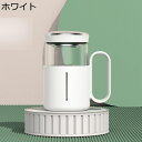 ティーボトル 水筒 500ml ウォーターボトル 持ち手 耐熱ガラス タンブラー クリア 直飲み 茶漉し付き 無鉛 あらいやすい 給水 お茶入れ 漏れ防止 学生...