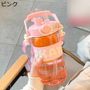 水筒 745ml ワンタッチ式 ウォーターボトル 夏用 ストロー付き スポーツボトル 透明水筒 プラスチック 直飲み 2つの飲み方 タンブラー 軽い 持ち運び便...