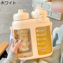 1.6リットル 直飲み 水筒 ウォーターボトル 大容量 ストロー付き 夏用 給水ボトル 2way タイムマーカ プラスチック カップ 大型 タンブラー 漏れなし...
