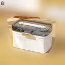 救急箱 薬箱 透明蓋 二段式構造 大容量 応急ボックス 医療箱 くすりいれケース ピル 習慣薬箱 薬ボックス 錠剤ケース 多機能収納ケース 小物 収納ボックス 緊急 防災 持ち運び 便利 旅行 常備薬 出張(3)