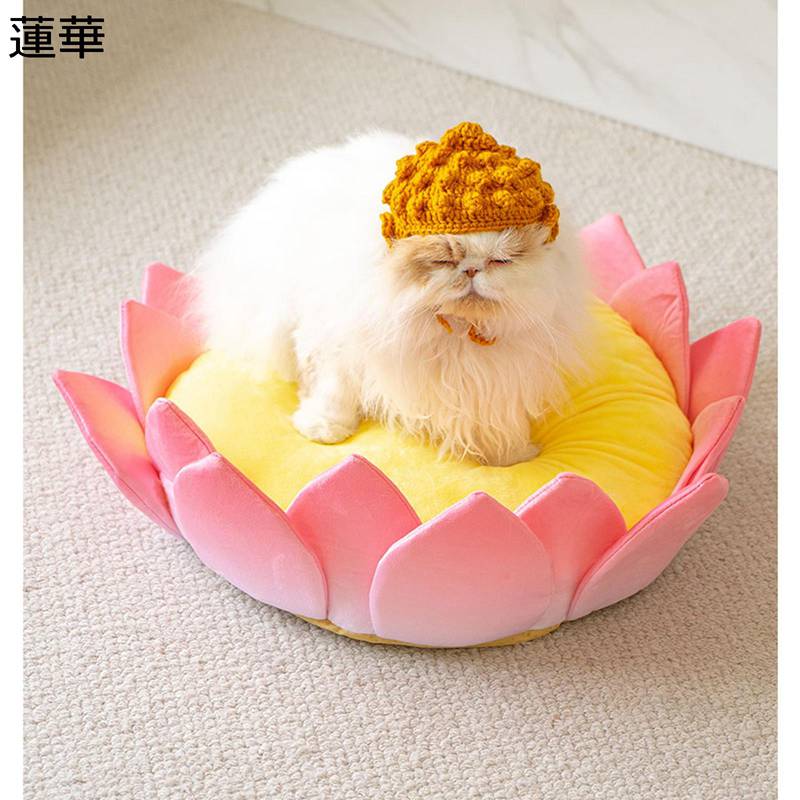 ϥβֳ ϡ ڥåȥ٥å åդ 곰 ڥåѤ˹դ ַ ǯ ˤ  ǭ٥å ҷե ...