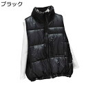中綿ベスト ダウンコットンベスト レディース 冬用ベスト ショート丈 カジュアル チョッキ 冬服 韓国風 おしゃれ 軽量 マルチポケット ゆったり 着痩せ 厚手...