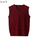 メンズ ニット セーター ウール混 ビジネス Vネック フィット スリム 大きいサイズ カジュアル 厚手 秋冬服 暖かい 防寒 保温 父の日 アウトドア プレゼ...