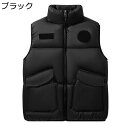 ダウンベスト メンズ 冬服 中綿ベスト 韓国風 コート ジャケット 大きいサイズ ポケット付き アウター 厚手 暖かい 防寒ベスト 男女兼用 カジュアル シンプ...