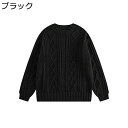 トップス プルオーバー レディースセーター ニット ケーブル編み 暖かい 柔らか 大きいサイズ 冬服 秋春 ラウンドネック 保温防寒 ゆったり カジュアル 無地...
