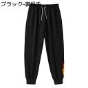 裏起毛 スウェットパンツ メンズ ジョガーパンツ ジャージー 裏ボア 厚手 保温 暖パン 秋 冬 スポーツウェア 大きめ ゆったり シンプル 無地 防寒 ウォー...