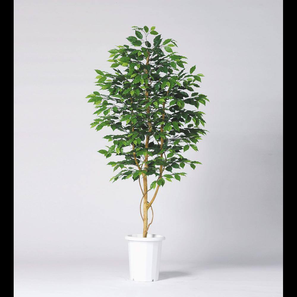 樂天商城 - ライオン事務機(LION) 人工植物 H1500 GB-240