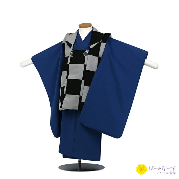 ڥ󥿥ۼ޻ ˻ ۥåȻл 󥿥 졼å/ ̵  ˤλ 3  ե륻å ʪ 3  ̿   ...