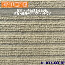 カーマット フロアマット 日産 プレーリー 1年4月～7年8月 7人乗-ECOベージュ