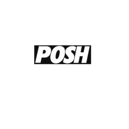 POSH サイドパイプ GOLDアールズコアヨウ　031999-04