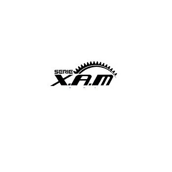 X.A.M A6302X47 530-47T スプロケット　A6302X47