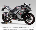 ヨシムラ Ninja250/ABS Z250用 Sip-On R-77S サイクロン カーボンエンド EXPORT SPEC政府認証 SSC 110-227-5W50