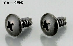 【6月6日出荷】キタコ トラスTPGビス Bクロメート 4X16 2PC　0900-046-09104