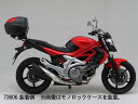 【4月26日出荷】デイトナ グラディウス400/650( 039 09- 039 10)用 GIVI スペシャルキャリア SR121M 94042