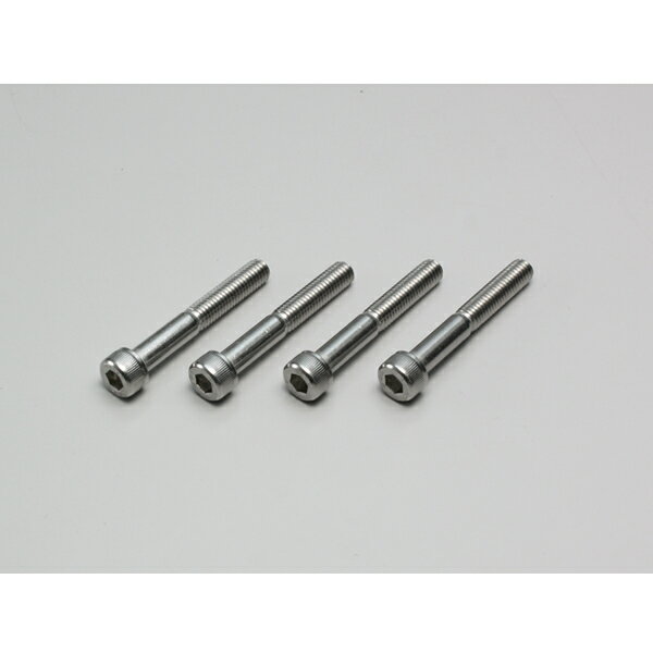 【○メーカー在庫あり】ハリケーン M8・ステンレスソケットボルト 　HN2855S