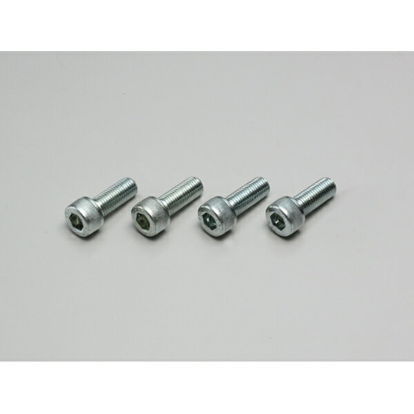 【○メーカー在庫あり】ハリケーン M10・ソケットボルト 　HN3025M