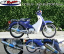 RPM CUB110 マフラー 80D-RAPTOR フルエキゾーストマフラー:チタン CUB110(EBJ-JA07)RPM6035Z
