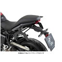 wvRxbJ[ C-BowTChLA ubN TRIUMPH Tiger Sport660('22) 6307636-0001