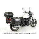 wvRxbJ[ gbv&TChP[XLA N[ TRIUMPH BONNEVILLE T100 650774-0002