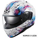 OGKカブト フルフェイスヘルメット KAMUI 3 LEIA カムイ3 レイア パールホワイト M 57-58cm OGK4966094596835