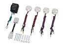 【7月30日出荷】POSH LEDコンバージョンBA/CL ダブル 095491-CO 095491CO