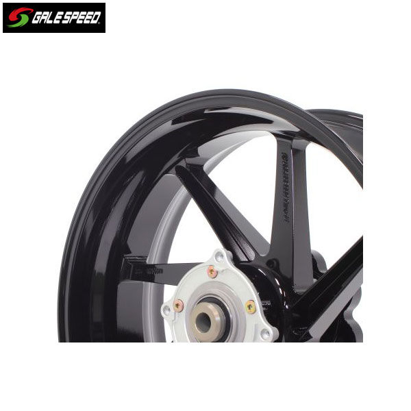 GALE SPEED (ゲイルスピード) CB1300SF/SB('14〜'17) ABS不可 アルミ鍛造ホイール [TYPE-E] フロント 350-17 グロスブラック ガラスコーティング仕様 29411052GBQ