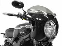 ACTIVE(アクティブ) Z900RS KAWASAKI カワサキ ビキニカウル FRP製 黒ゲルコート仕上げ(スモークスクリーン) 10970012