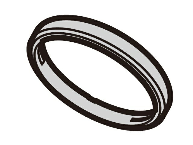 パナソニック Panasonic デジタルカメラ用デコレーションリング（ブラック） SDW0294K