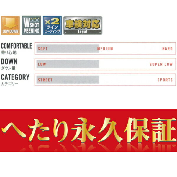 TANABE NF210ダウンサス前後セットAVU65Wハリアーハイブリッドプレミアム 14/1～17/6