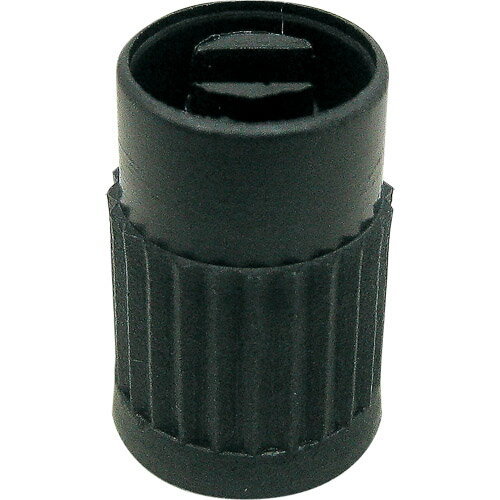 PFP(ピーエフピー) バルブキャップ ドライバータイプ CAP02 バイク