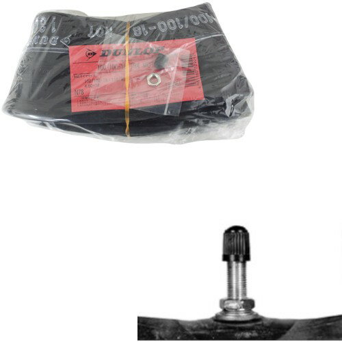 DUNLOP(ダンロップ) チューブ 110：120/100-18 TR4 MOT 134959 バイク