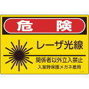 日本緑十字社(ニホンリョクジュウジシャ) レーザ標識 危険・レーザ光線・関係者以外立入禁止 300×450mm 391603 作業 安全 保安(4)