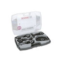 BOSCH(ボッシュ) カットソーブレード 木材セット 2608664623 切断機用