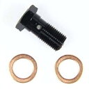 SWAGE-LINE(スウェッジライン) バンジョーボルト シングルSWAGE用 1.00ブレンボ ブラック EAP720 バイク