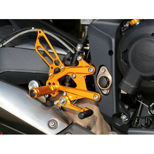 BABYFACE(ベビーフェイス) バックステップキット BLK STREET TRIPLE/R 13-16 002-T008BK バイク