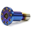 JSM(ジェイエスエム) ビッグヘッドサイドスタンド専用ボルト PVDチタンコート TA-JSM-BT092TI バイク フレーム回り
