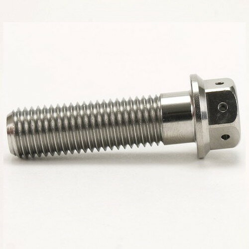 JSM ヘキサゴンヘッド ボルト M10×35mm P1.25mm TA-JSM-BT048SI バイク