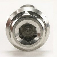 JSM ヘキサゴンヘッド ボルト M10×35mm P1.25mm TA-JSM-BT048SI バイク