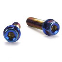 JSM(ジェイエスエム) ヘキサゴンヘッド PVDチタンコート ボルト M10×35mm P1.5mm TA-JSM-BT055TI バイク