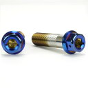 JSM(ジェイエスエム) ヘキサゴンヘッド PVDチタンコート ボルト M10×40mm P1.25mm TA-JSM-BT049TI バイク
