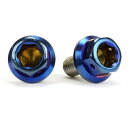 JSM(ジェイエスエム) ヘキサゴンヘッド PVDチタンコート ボルト M5×10mm P0.8mm TA-JSM-BT009TI バイク