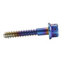 JSM(ジェイエスエム) ヘキサゴンヘッド PVDチタンコート タッピングスクリュー M5×30mm TA-JSM-BT158TI バイク ネジ・ビス