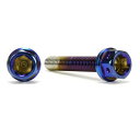 JSM(ジェイエスエム) ヘキサゴンヘッド PVDチタンコート ボルト M5×30mm P0.8mm TA-JSM-BT217TI バイク